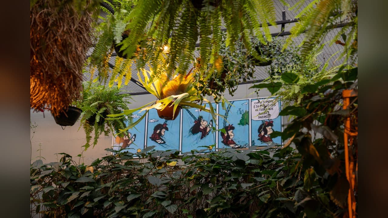 Café Mafalda, foto 8 de 8
